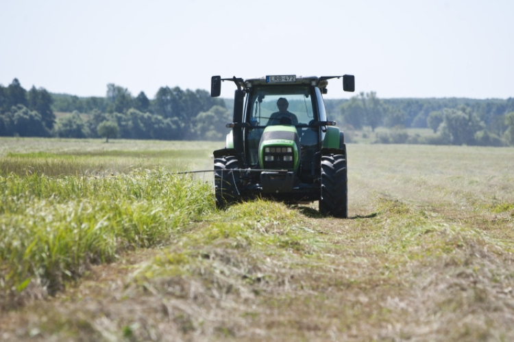 Budai: „a magyar mezőgazdaság már elérte a világszínvonalat'