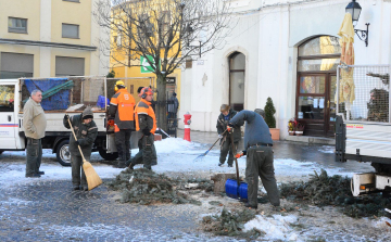 Szociális tűzifa lesz a közterületi karácsonyfákból