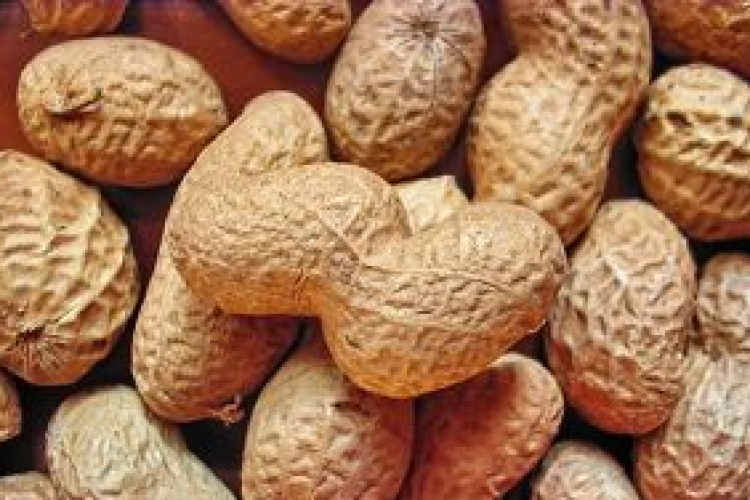 A világ legveszélyesebb ételei