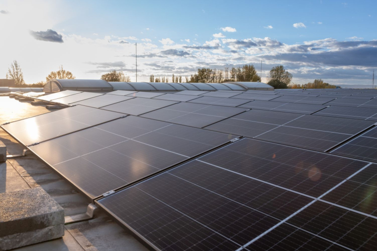 Mintegy 300 milliós beruházással épített napelemparkot a székesfehérvári Grundfos