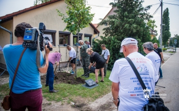 Békefát ültettek - Székesfehérvárra érkezett Zelei József, kerékpáros békenagykövet