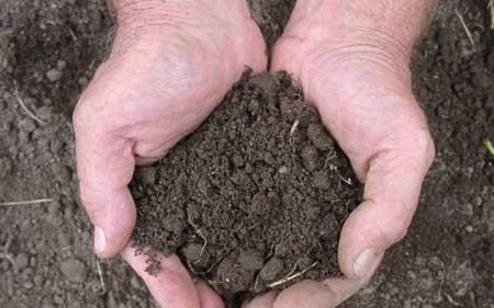 Minta lehet a magyar földtörvény