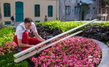 Kedden reggel visszakerült az új mutató a Virágórára