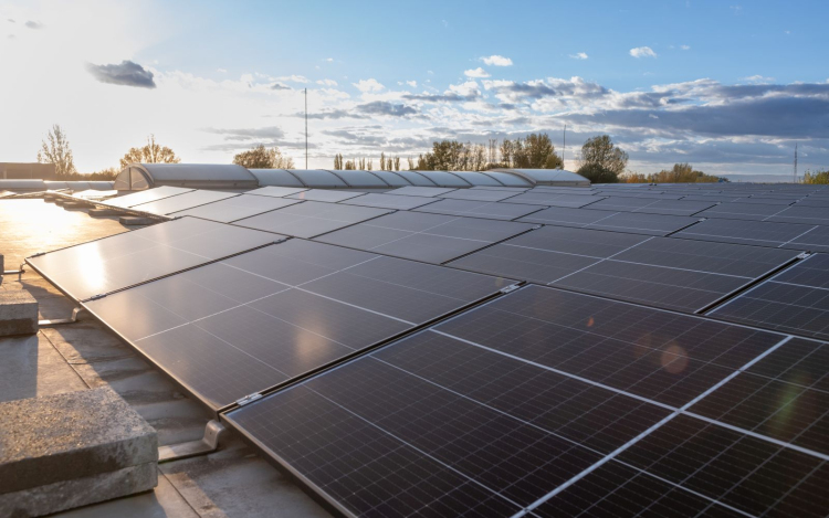 Mintegy 300 milliós beruházással épített napelemparkot a székesfehérvári Grundfos