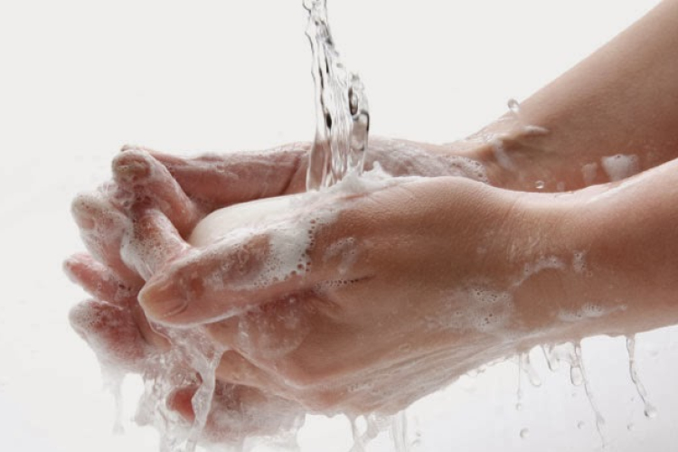 Hogyan kell szakszerűen fertőtleníteni?