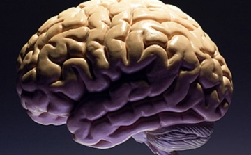 Az agyműködés feltérképezését célzó programot hirdetett meg az amerikai elnök