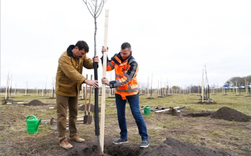 Áder: fák ültetésével ellensúlyozható a környezeti lábnyom
