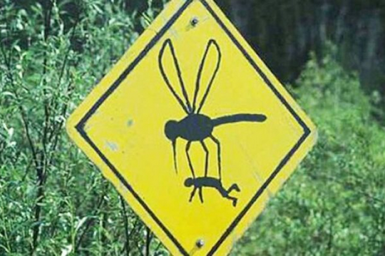 Miért “csípik” jobban egyes embereket a szúnyogok, mint másokat