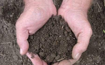 Minta lehet a magyar földtörvény