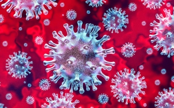 Hogyan terjed, mit tehetünk a koronavírus ellen?