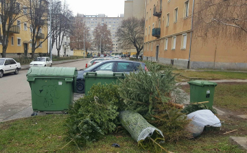 A héten még elviszik Fehérváron a családi házas övezetekben a lebontott és a kuka mellé helyezett...