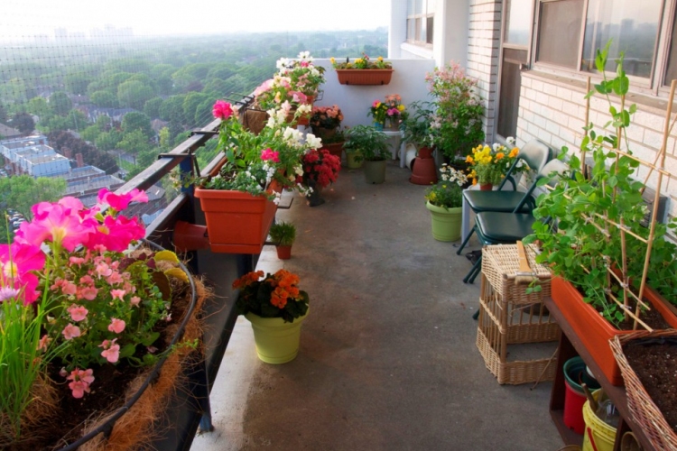 Hogyan csinálj kertet az erkélyedből