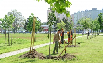 Száz fával támogatta az E.ON a tavaszi faültetéseket Székesfehérváron