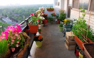 Hogyan csinálj kertet az erkélyedből