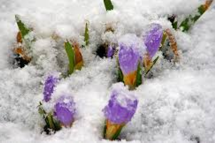 Pénteken jöhet a márciusi hó, a hónap végére visszatérhet a tél