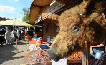 Hétvégén lesz a Palotai Kapu téren az idei Mangalica Fesztivál